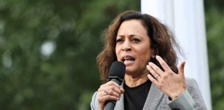 Fact vs. Fiction: Unraveling the Web of Misinformation Surrounding Kamala Harris