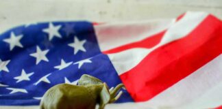 elephant toy on american flag
