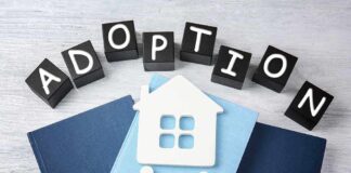 China Shifts Focus: Major Change in Adoption Policy Announced