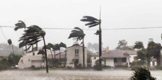 Houses and trees battered by strong winds and rain.