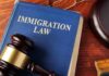 Blue book titled Immigration Law with gavel nearby