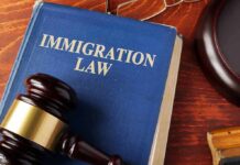 Blue book titled Immigration Law with gavel nearby