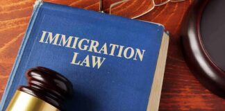 Blue book titled Immigration Law with gavel nearby