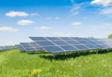Solar panels in a grassy field under blue sky