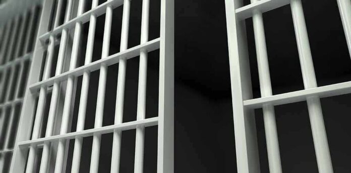 Close-up view of metal prison bars in a dark environment