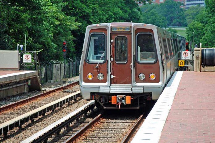Metro train arriving at a station surrounded by greenery