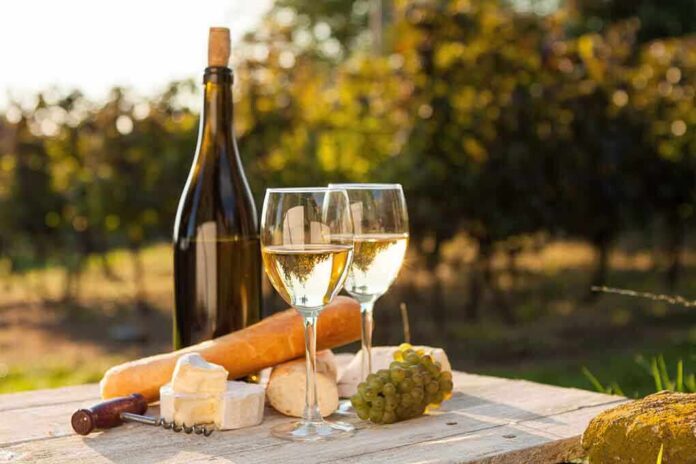 A bottle of white wine, two glasses, cheese, and grapes on a wooden table in a vineyard