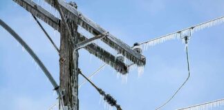 Icy power lines and a utility pole against a blue sky