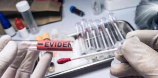 Gloved hands holding evidence swab in laboratory.