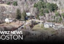 Rifle Ambush Leaves Cop Bleeding—Suspect Vanishes Manhunt over after police kill suspect who shot New