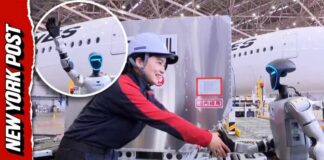 Japan Airlines Testing Out Humanoid Robots to Help with ...