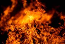 Close-up of vibrant flames against a dark background