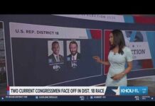 AP: Rep. Christian Menefee wins Democratic primary for District 18, defeating Rep. Al Green