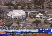 Shocking Claims: 30 Guns in Teen’s Arsenal Shocking Claims: 30 Guns in Teen's Arsenal
