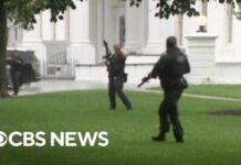 Gunman Killed—Security Breach Shocker Apparent gunshots heard at the White House by CBS News reporters