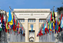 60 Days, Big Gamble United Nations building with numerous national flags outside.
