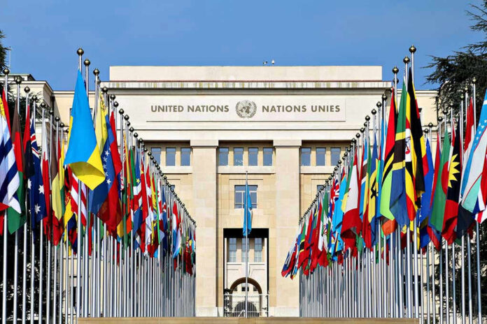 423802144 United Nations building with numerous national flags outside.