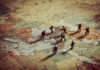 Toy soldiers on a world map background.