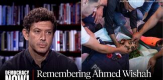 "Line of Control": Sharif Abdel Kouddous on Life Along Gaza's "Yellow Line"