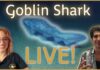 Goblin Shark Filmed Alive for First Time Goblin Shark Spotted in Surprising Habitat: Update from an Expert | Nautilus Live