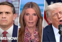 ‘I’m gonna call BS on that’: Nicolle RIPS GOP for whitewashing Trump stooge Todd Blanche's actions 