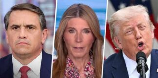 ‘I’m gonna call BS on that’: Nicolle RIPS GOP for whitewashing Trump stooge Todd Blanche's actions 