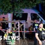 ISIS Link Confirmed After Market Horror Updates after Berlin police shoot, kill suspect in deadly Pride car ramming attack | full video
