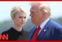 Direct Trump’s Attack On Sharp Rebuke From Tapper Natalie Harp once rode in the trunk of an SUV to join Trump at court