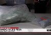 NMDOJ sues feds to access fentanyl records amid whistleblower complaints