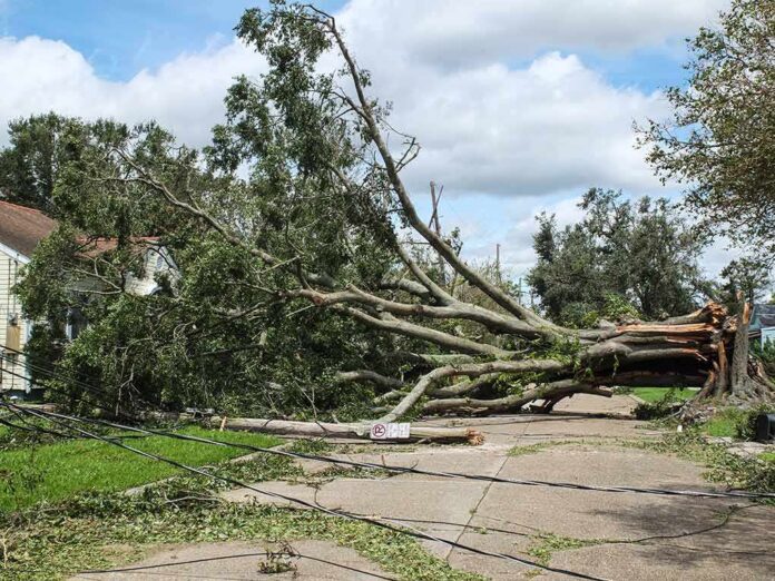 shutterstock_2036199536 Fallen tree blocking a residential street
