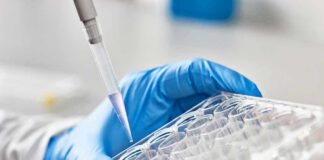 Gloved hand holding a multiwell plate as a pipette dispenses liquid