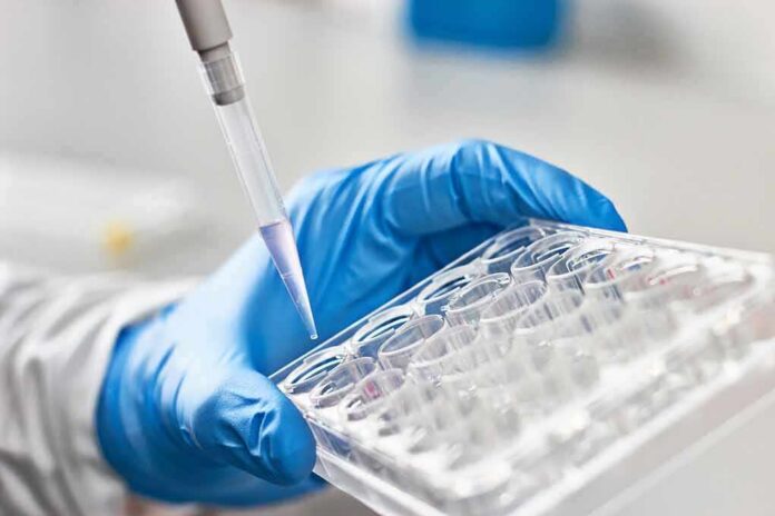 shutterstock_612999197 Gloved hand holding a multiwell plate as a pipette dispenses liquid