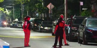 NYPD Open Fire on Alleged Teen Armed Carjacking Suspect trying to Strike Officer w/ Stolen Car - BK
