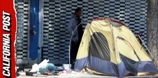 Wild Proposal in City Council Meeting Aimed at Creating Public ‘Sex Huts’ For LA Homeless