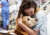 Horrifying Bronx Basement — Dogs Pulled Out Patient in hospital gown hugging a golden retriever