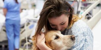 Patient in hospital gown hugging a golden retriever