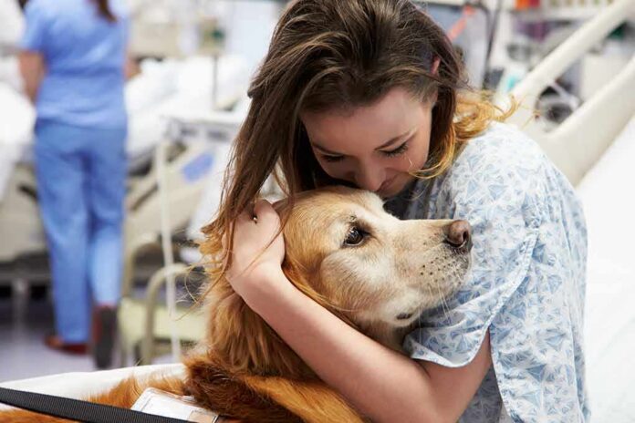 shutterstock_168763262 Patient in hospital gown hugging a golden retriever
