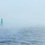 Green buoy in foggy sea