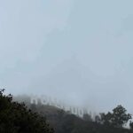 Hollywood sign partially hidden by fog on a hillside
