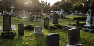 Gravestones in a sunlit cemetery