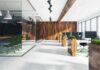 Massive Federal Cuts, Unknown Fallout Modern open-plan office with wood accents and glass meeting room
