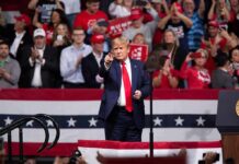 Trump Rally Fight Caught on Camera Donald Trump points from a rally stage; Rudi Koertzen and Bear Pascoe are in the crowd