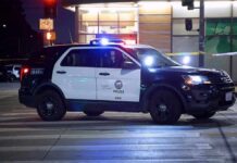 Bus Service Halted After Driver Fatally Shot Police SUV blocks an intersection at night with lights flashing